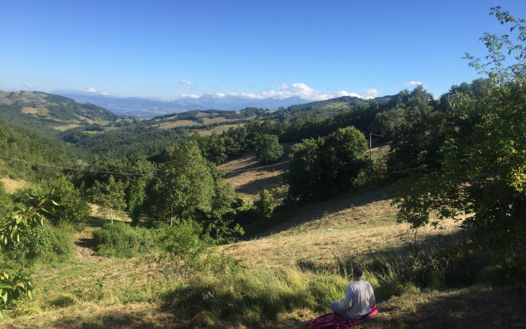 Ananda Yoga e Meditazione