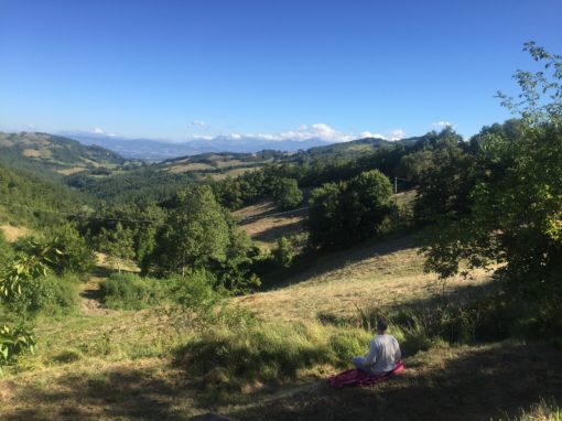 Ananda Yoga e Meditazione Ananda Yoga e Meditazione