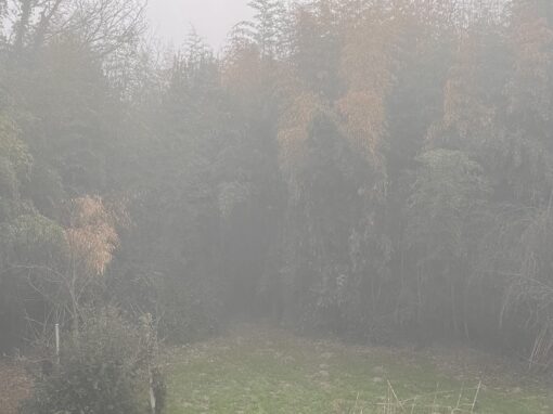 La nebbia tra Guccini e Simenon La nebbia tra Guccini e Simenon